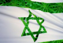 Colombia quiere imitar a Israel en el uso del cannabis medicinal israel mmj flag