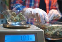 California: Trabajadores minoristas de marihuana medicinal reciben vacunas antes que los maestros VICE viaja hasta Madrid para conocer a la red de pacientes, activistas y médicos que luchan por que la marihuana terapéutica entre dentro del circuito sanitario en España.