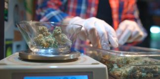 VICE viaja hasta Madrid para conocer a la red de pacientes, activistas y médicos que luchan por que la marihuana terapéutica entre dentro del circuito sanitario en España.