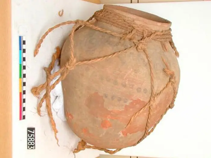 Fibra para tinaja