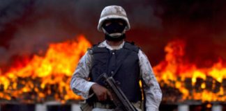 guerra narco