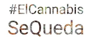 #ElCannabisSeQueda