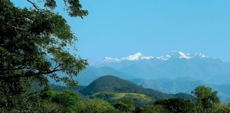 Colombia: Sierra Nevada y La Guajira, entre las zonas propicias para cultivo de marihuana medicinal