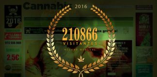 Nuevo record de visitas en cannabismagazine.net