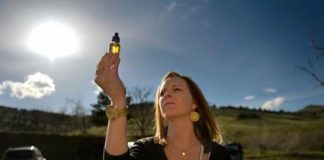 Sativida Presenta Aceite de Cannabidiol. 15% CBD 100% Orgánico.