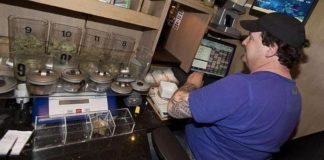 El Supremo anula la absolución de tres responsables de una asociación de cannabis con 2.300 socios