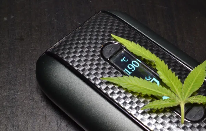 Vaporizando cannabis y tomillo
