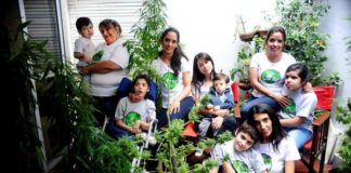 «Madres de la marihuana»: cultivan para curar a sus hijos y por amor desafían la ley
