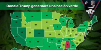 Trump gobernará una nación verde; el mapa de la marihuana Trump gobernará una nación verde; el mapa de la marihuana