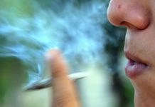 Esto pasa con la regulación del cannabis medicinal y personal en México Brotes psicóticos son los que le dan a estos politicuchos ignorantes cuando no pueden chupar del bote