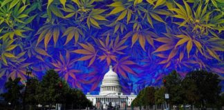 Estados Unidos: Un comité de la Cámara de Representantes aprueba un proyecto de ley histórico para despenalizar el cannabis