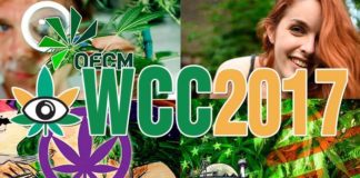 World Cannabis Conferences celebra su cuarta edición en el marco de Spannabis, la mayor feria cannábica del mundo