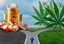 Marihuana vs opiaceos