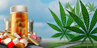 Marihuana vs opiaceos