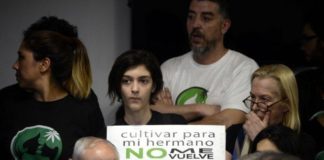 Argentina promulgó la ley del uso medicinal del aceite de cannabis