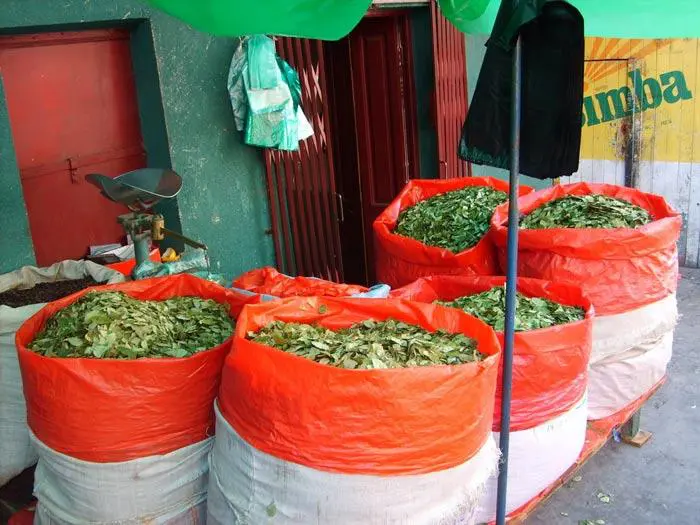 venta hojas de coca