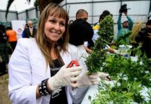 Fundación Daya califica de “sospechoso” estudio contra la cannabis medicinal fundaciondaya