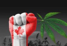 Canada on the way to legalization