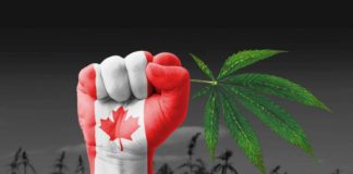 Canada on the way to legalization