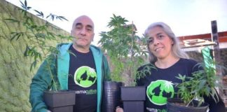 Cannabis que me hiciste bien