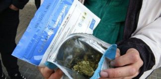 Uruguay y el boom de la marihuana legal