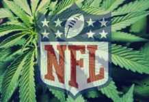 La NFL dará 1 millón de dólares a la investigación de uso de cannabis contra dolor La NFL dará 1 millón de dólares a la investigación de uso de cannabis contra dolor