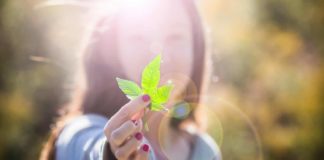 Decrece el papel de la mujer en la industria del cannabis