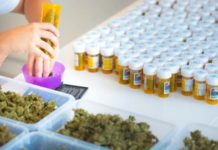 Prueba de cannabis para tumores cerebrales recibe luz verde Prueba de cannabis para tumores cerebrales recibe luz verde