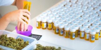 Cómo una compañía suiza planea surtir de cannabis legal a toda Europa