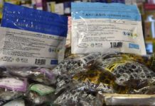 Uruguay triplica número de consumidores registrados de marihuana legal Uruguay triplica número de consumidores registrados de marihuana legal