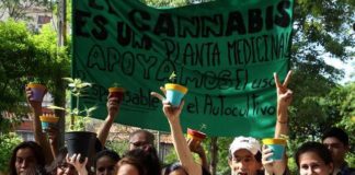 Paraguayas con hijos epilépticos presentan un amparo para el autocultivo de cannabis