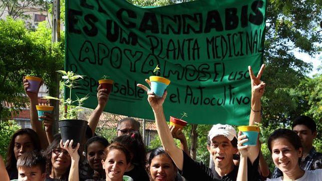 Paraguayas con hijos epilépticos presentan un amparo para el autocultivo de cannabis