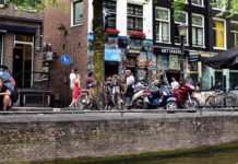 Holanda amplía el experimento de cultivo legal de cannabis a ocho ciudades más Los 'coffee shops' holandeses venderán marihuana legal cultivada por el Gobierno