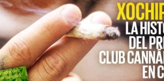 Xochipili, la historia del primer club cannábico en CDMX