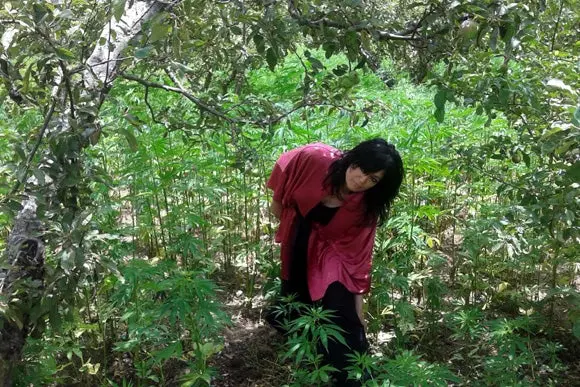 La arquitecta Monika Brümmer / Cannabric