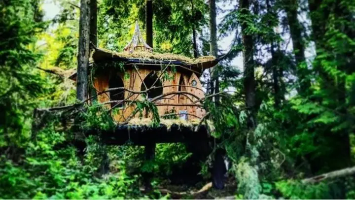 Estados Unidos: crece la oferta de hoteles "marihuana friendly" PotLeaf Tree House, ubicada en Monroe, Washington.