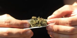 La guía advierte sobre los riesgos de las drogas.