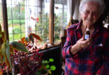 Los adultos mayores encuentran el cannabis útil en el tratamiento de varias enfermedades crónicas Los adultos mayores encuentran el cannabis útil en el tratamiento de varias enfermedades crónicas