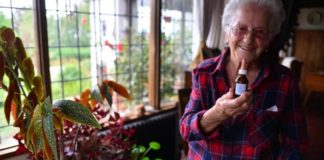 Los adultos mayores encuentran el cannabis útil en el tratamiento de varias enfermedades crónicas