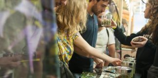 Las ‘startups’ del cannabis buscan su oportunidad en España