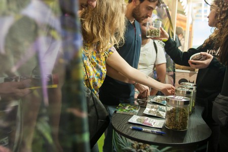 Las ‘startups’ del cannabis buscan su oportunidad en España