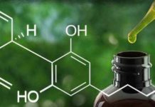 El cannabidiol podría ayudar a reducir el consumo de cannabis, según un gran estudio cannabidiol aceite marihuana