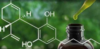 cannabidiol aceite marihuana