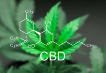 Eficacia del CBD en el tratamiento del autismo Eficacia del CBD en el tratamiento del autismo