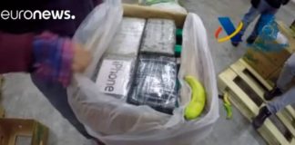 Incautación récord de 9 toneladas de cocaína escondidas entre plátanos