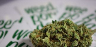 La droga que también se extrae del cannabis pero es 100% legal