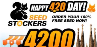 4200 semillas totalmente gratis. O por qué cultivar Seedstockers