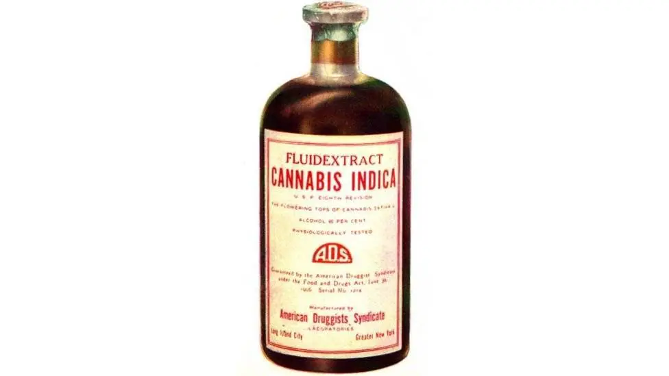  El cannabis se utiliz&oacute; en Estados Unidos como una medicina reconocida farmacol&oacute;gicamente desde 1850. / BBC 
