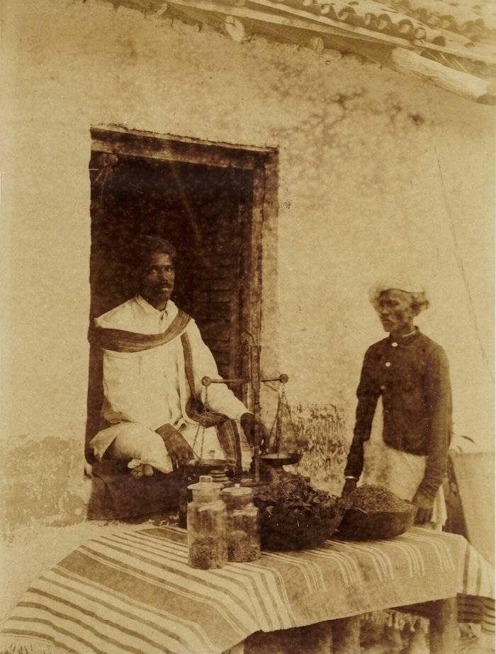 Vendedor de cannabis en India a mediados del siglo XIX. / BBC 