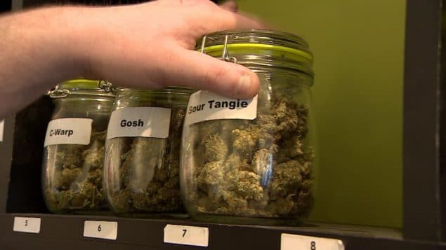 Los precios del cannabis en el mundo real son cada vez más baratos dice Estadísticas Canadá.. ( Radio Canada/CBC/Chanss Lagaden)